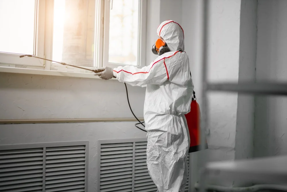 Professional mold remediation services in Crane Hill, AL